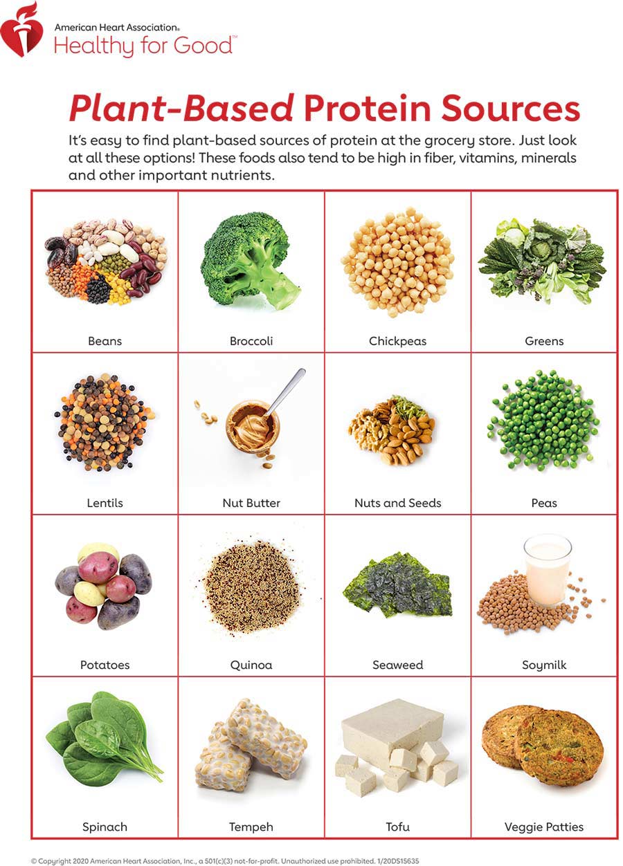 Plant-Based Protein Sources